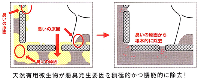 天然有用微生物が悪臭発生要因を積極的かつ機能的に除去！