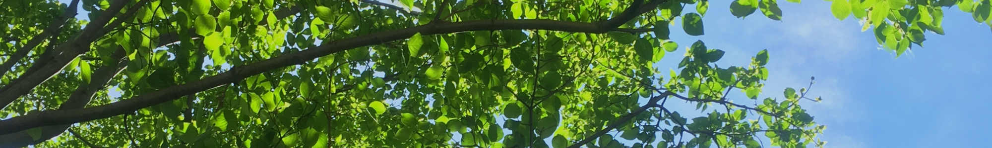 事業案内イメージ