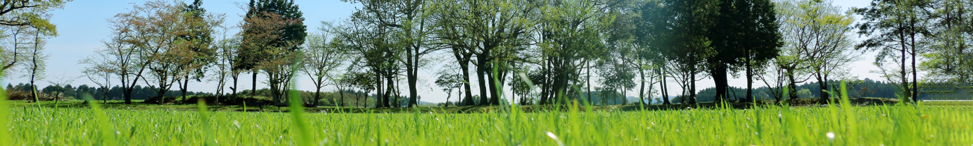 よくある質問イメージ